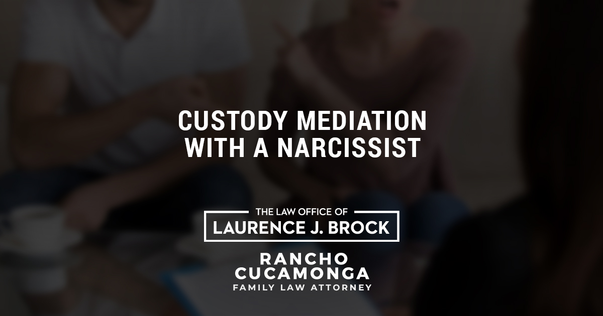 Narcissist In Court